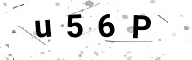 256264